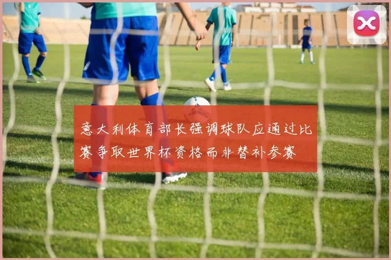 意大利体育部长强调球队应通过比赛争取世界杯资格而非替补参赛