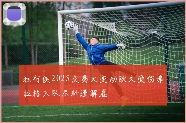 独行侠2025交易大变动欧文受伤弗拉格入队尼科遭解雇