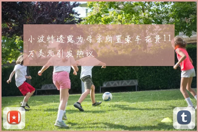 小波特透露为母亲购置豪车花费11万美元引发热议
