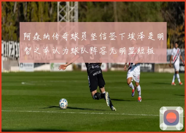 阿森纳传奇球员坚信签下埃泽是明智之举认为球队阵容无明显短板