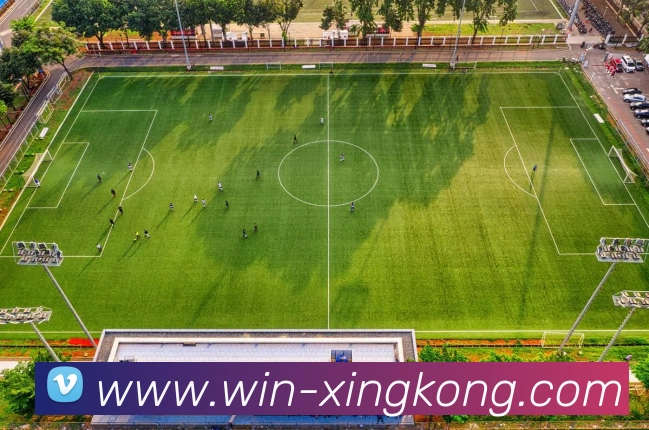 多媒体互动体验