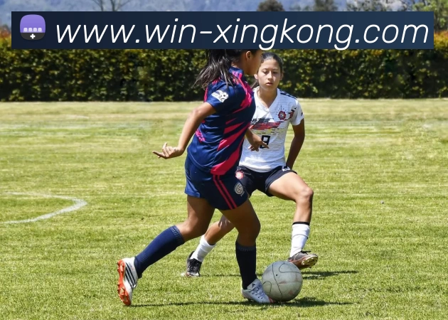 星空体育APP 高清赛事图